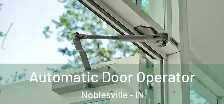 Automatic Door Operator Noblesville - IN