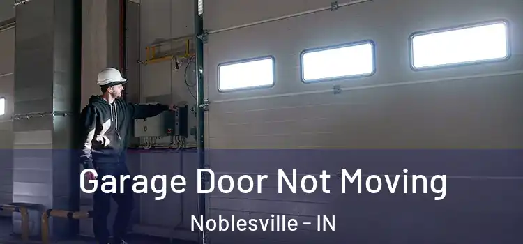  Garage Door Not Moving Noblesville - IN
