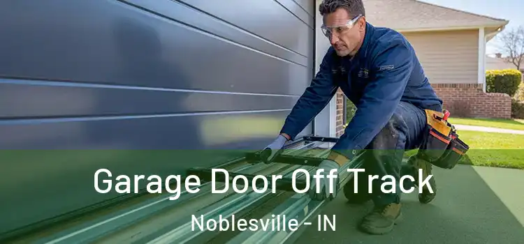  Garage Door Off Track Noblesville - IN
