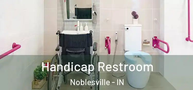 Handicap Restroom Noblesville - IN