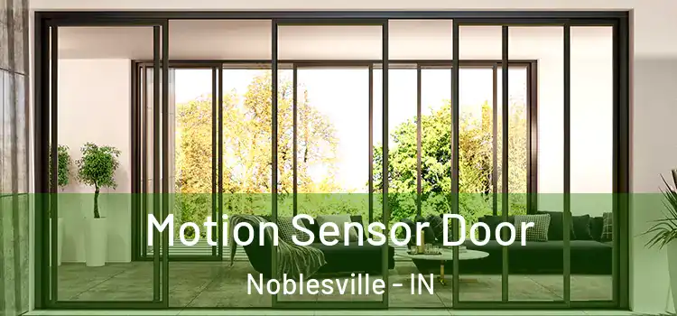 Motion Sensor Door Noblesville - IN
